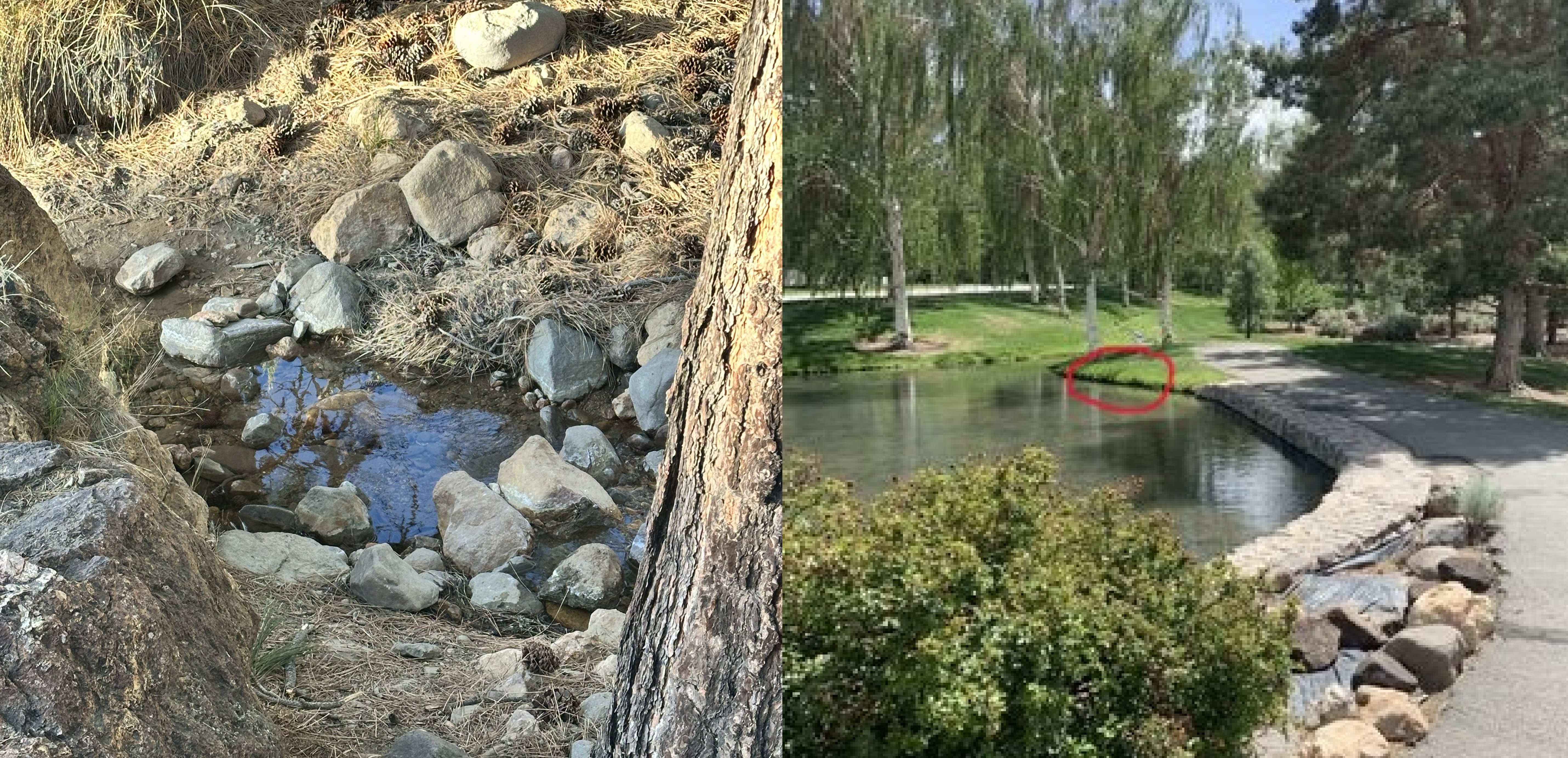 Water sample locations
